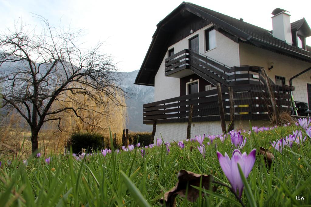 Apartments Tatjana Bovec Εξωτερικό φωτογραφία