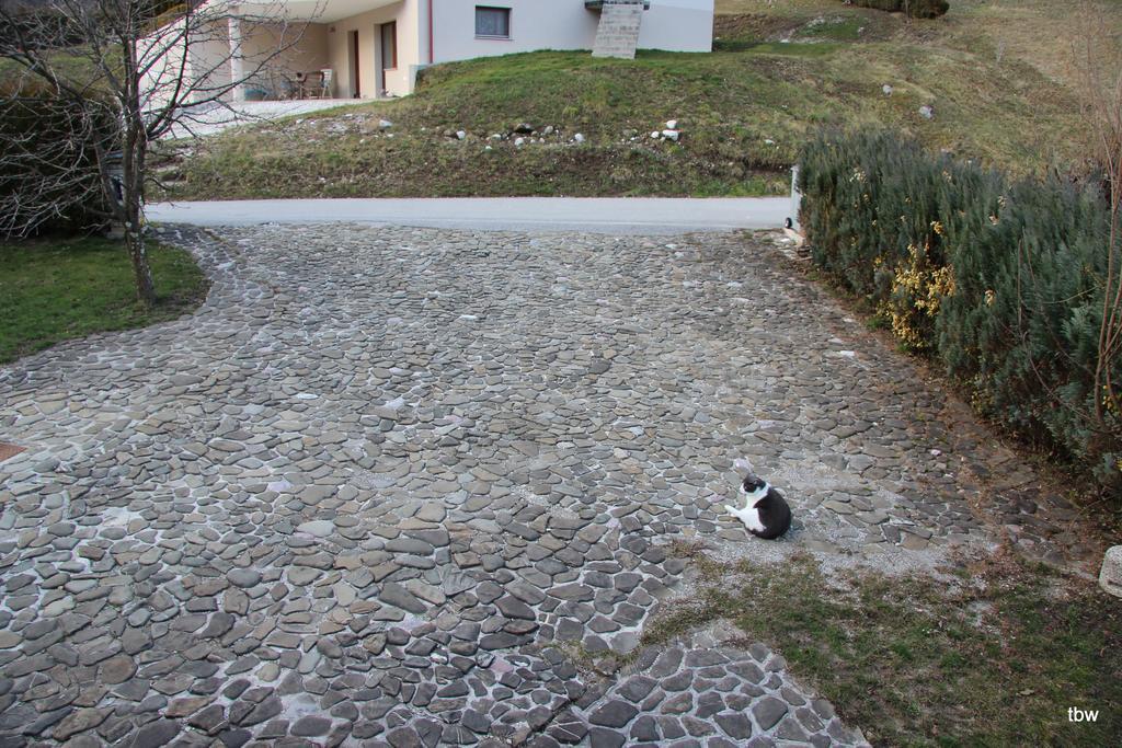 Apartments Tatjana Bovec Εξωτερικό φωτογραφία